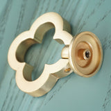 Drawer Knobs/Brass Wardrobe Handles